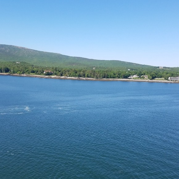 Meet your Posher, Kerensa - Picture 1 of 1